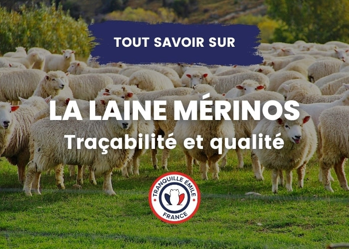 Tout savoir sur la laine de mérinos