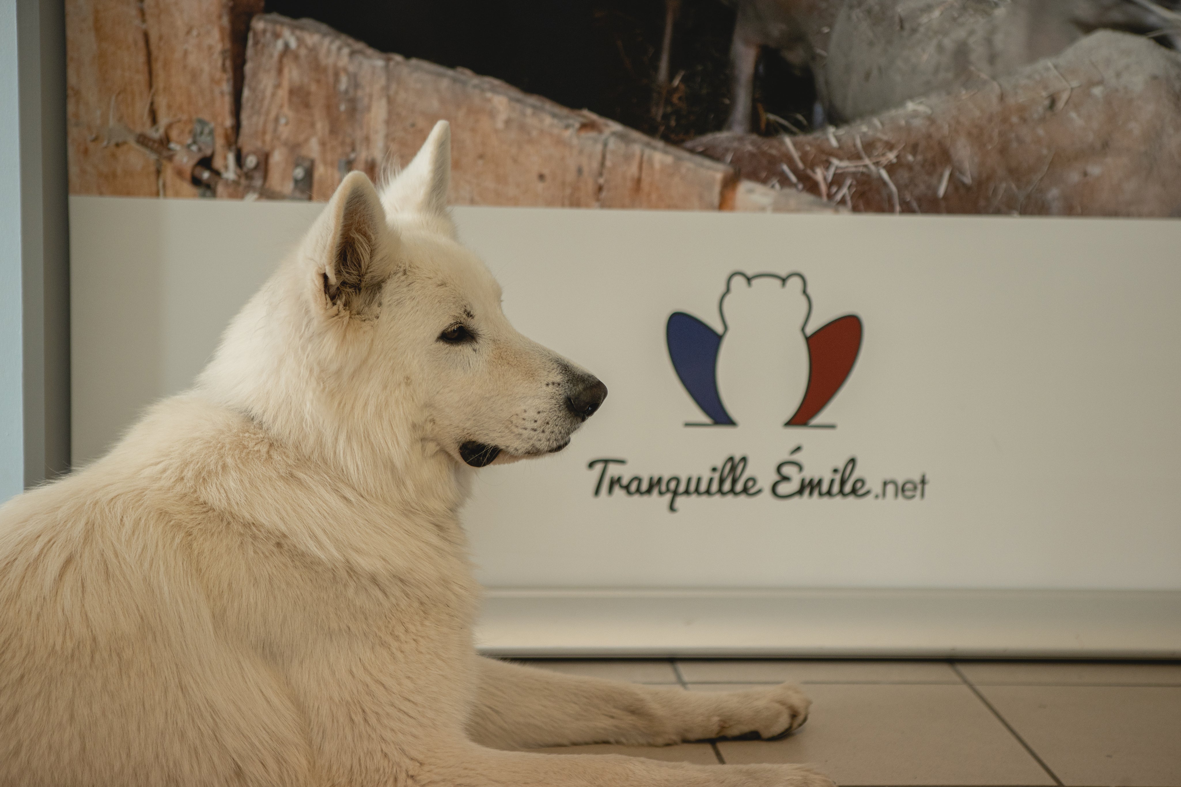 La boutique d'Emile 100% vêtements français