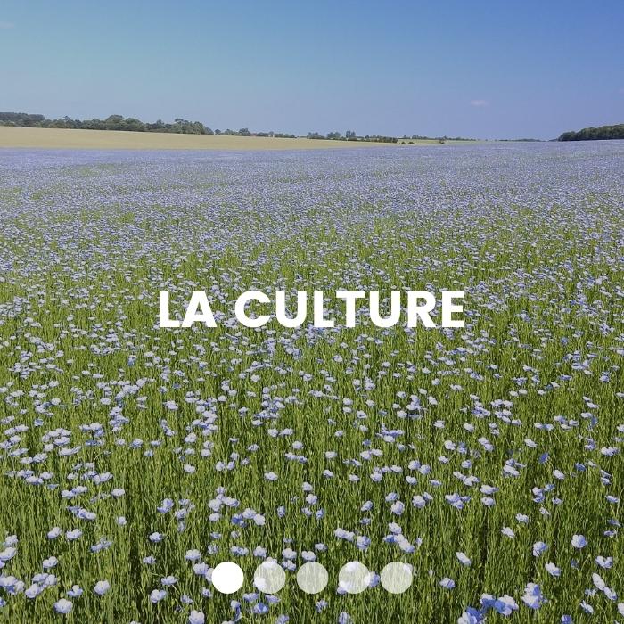 la-culture