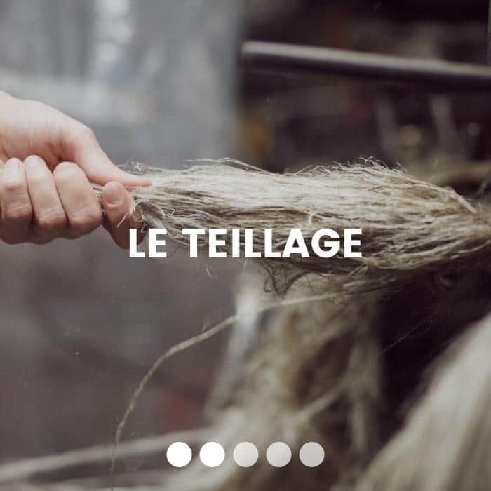teillage-lin-made-in-france
