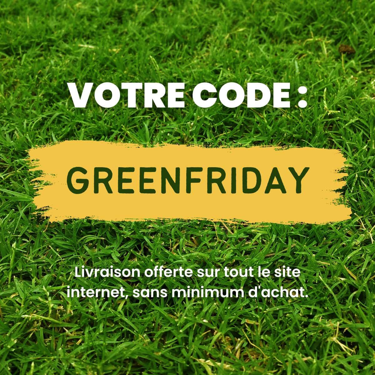 code-greendays-tranquille-emile